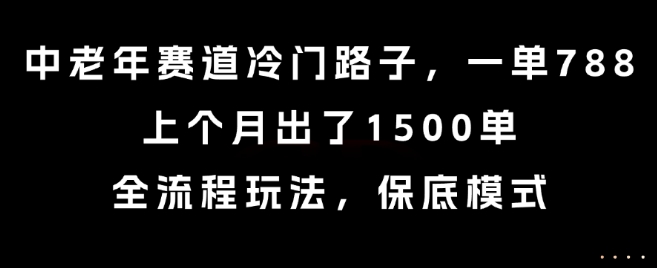 中老年赛道冷门路子,一单788,上个月出了1500单,全流程玩法,保底模式【揭秘】-优优云网创