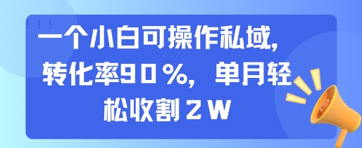 一个小白可操作私域,转化率90%,单月轻松收割2W-优优云网创